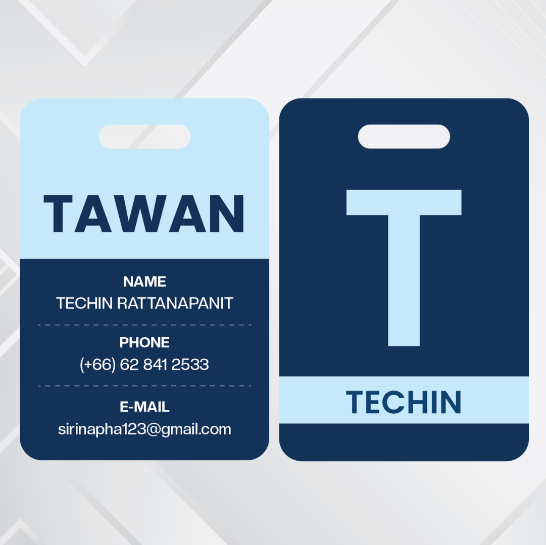 Passenger luggage tag collection 2