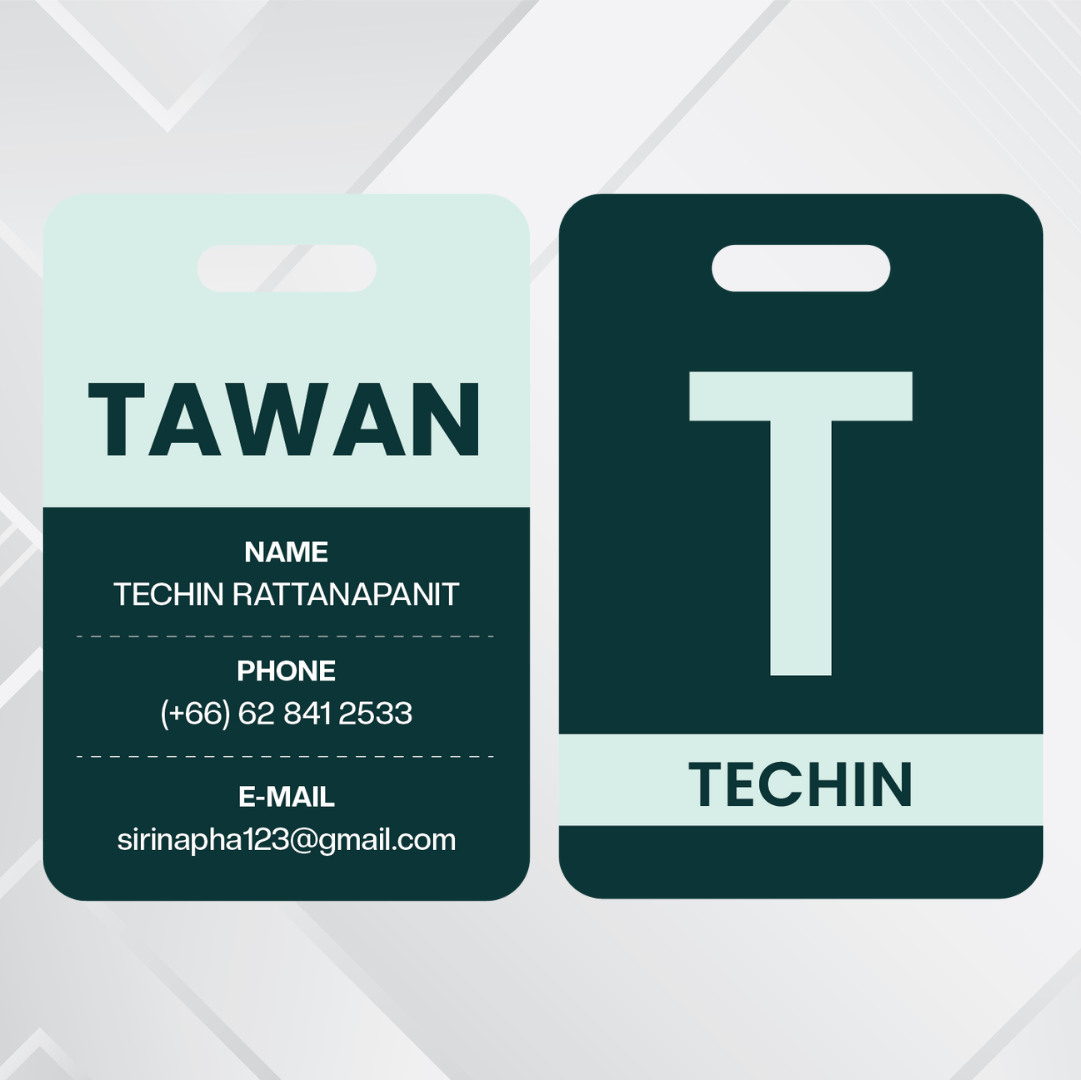 Passenger luggage tag collection 2