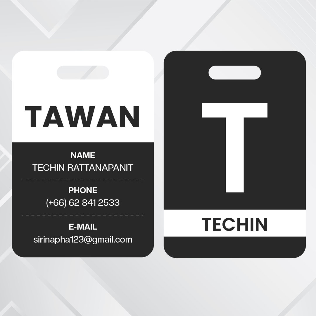 Passenger luggage tag collection 2