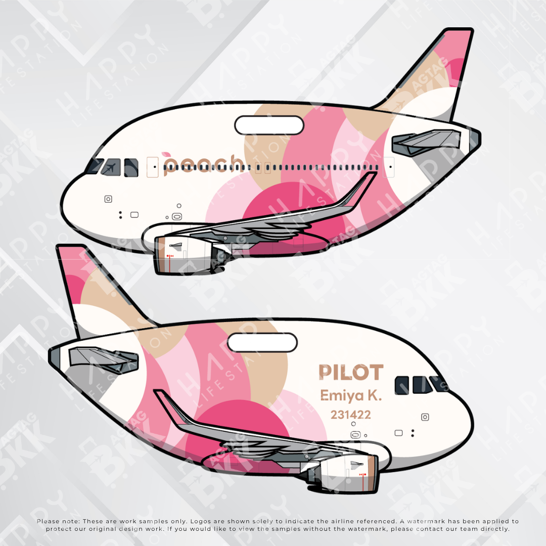 Airplane tag (Airbus A320)