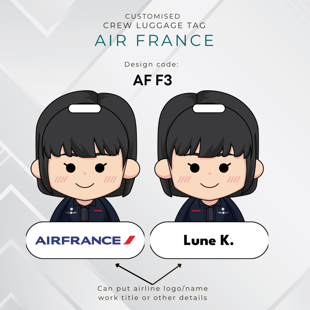 Air France Airlines