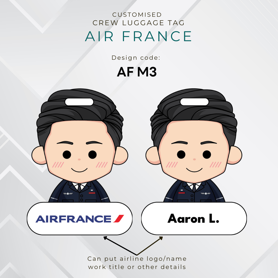 Air France Airlines