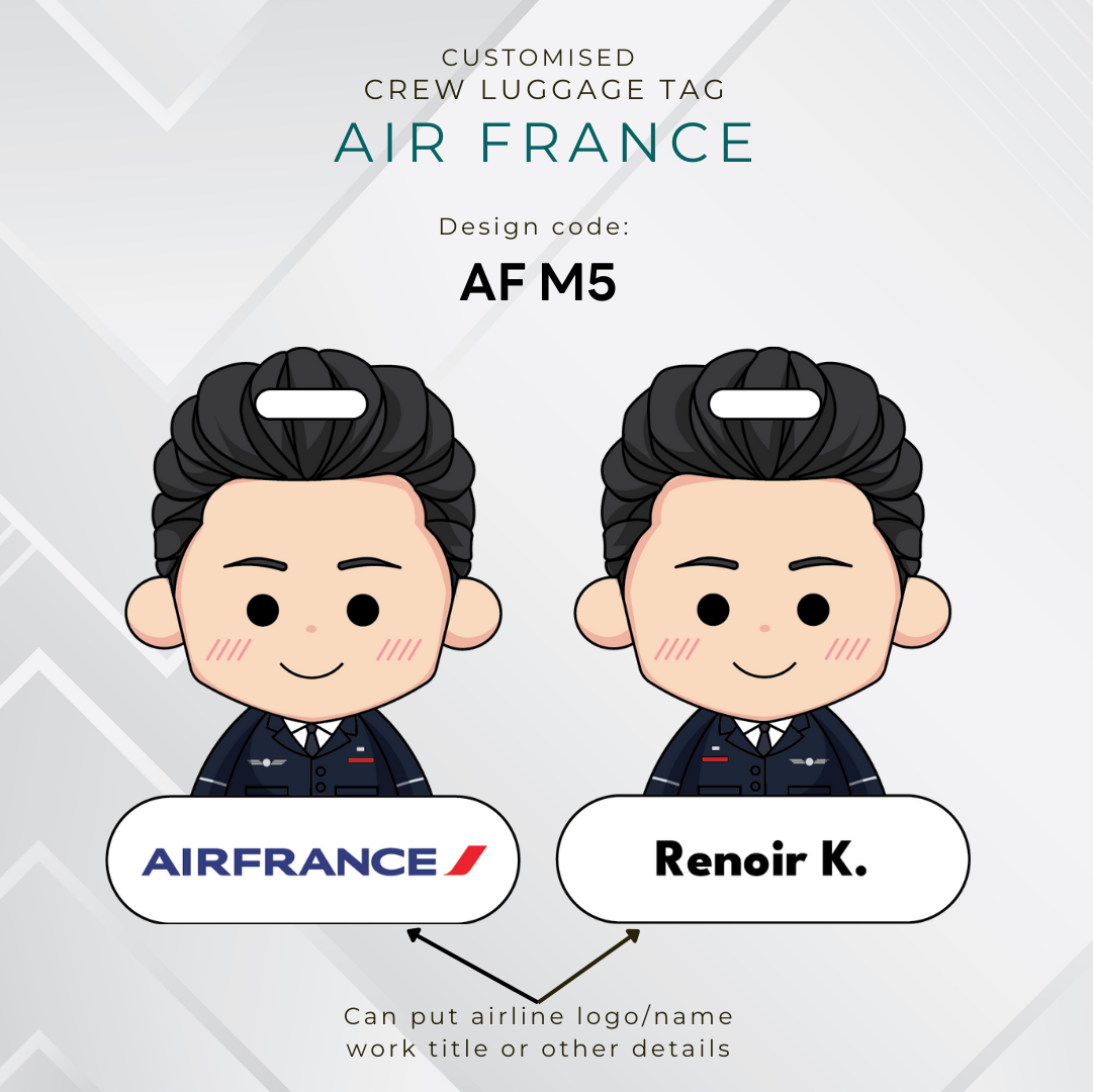 Air France Airlines