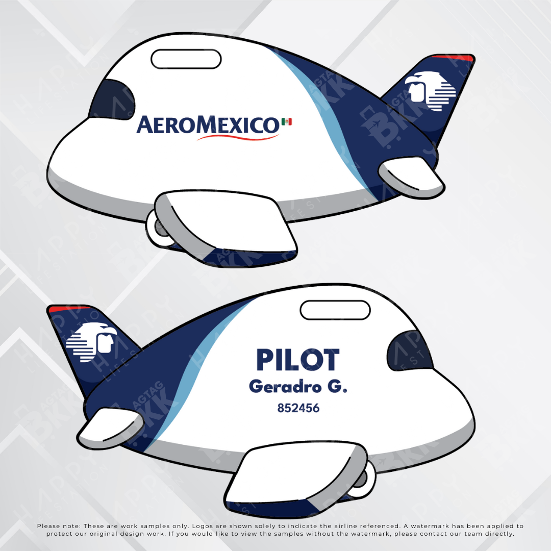 Airplane Tag - North America Airliners