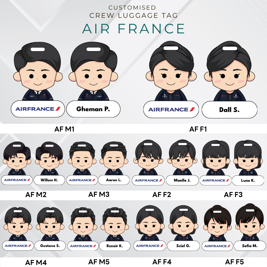 Air France Airlines