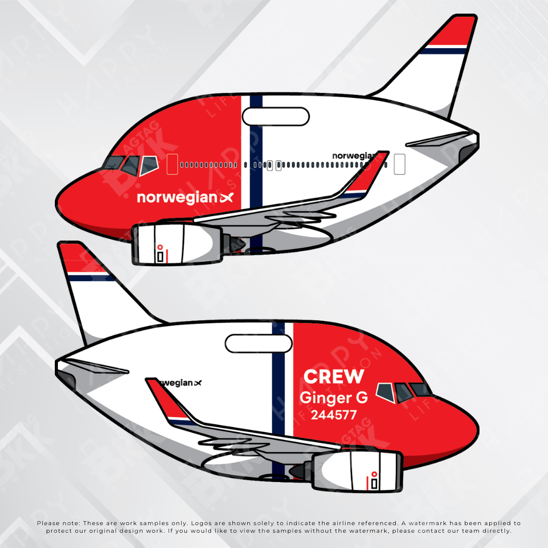 Airplane tag (Boeing 737)