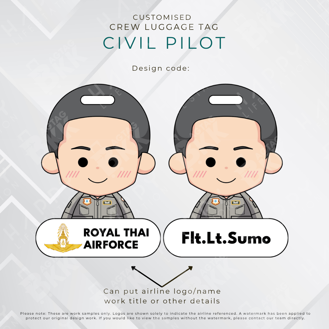 Civil Pilot