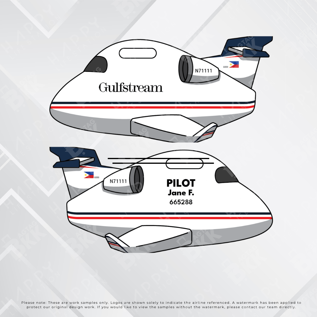 Business Jet