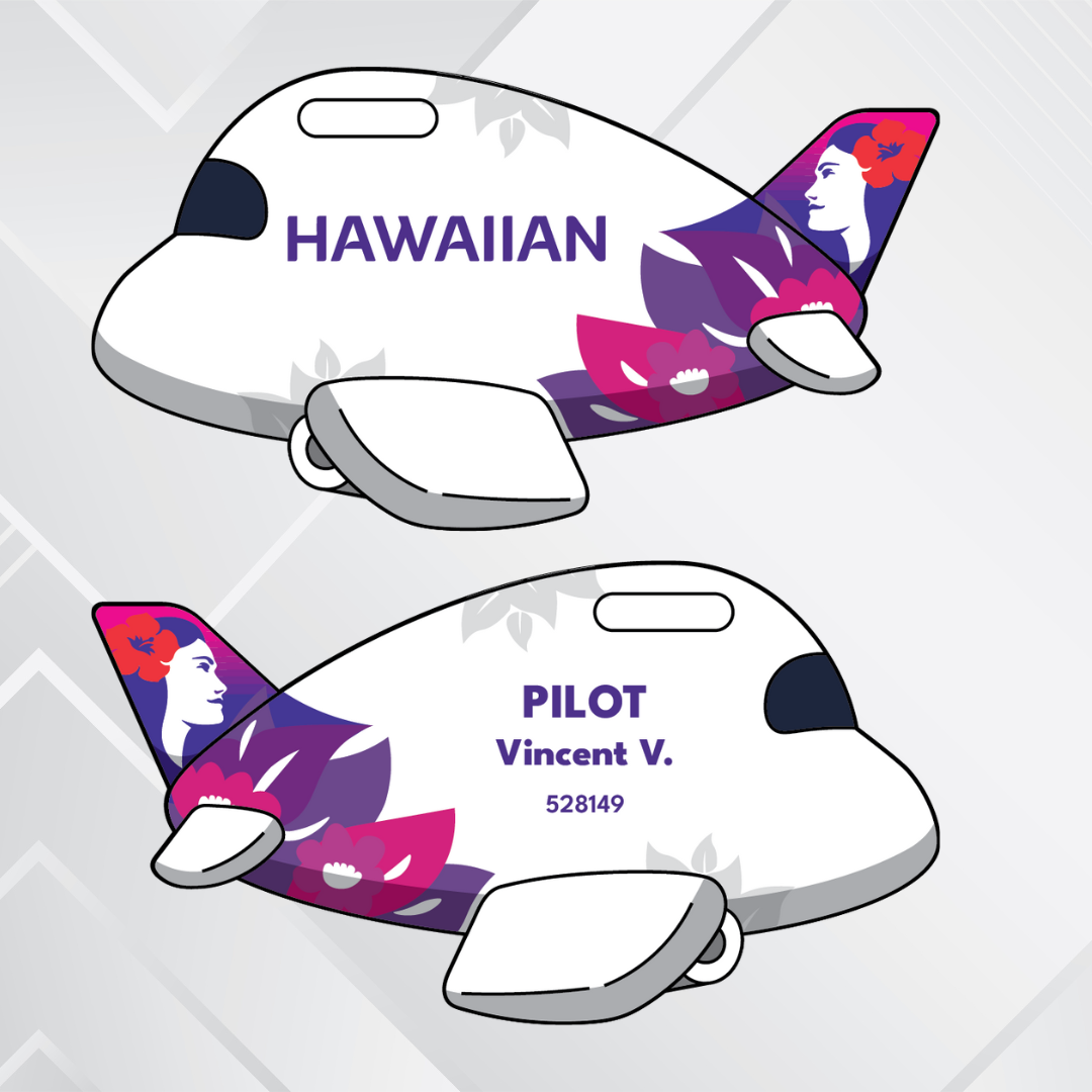 Airplane Tag - North America Airliners