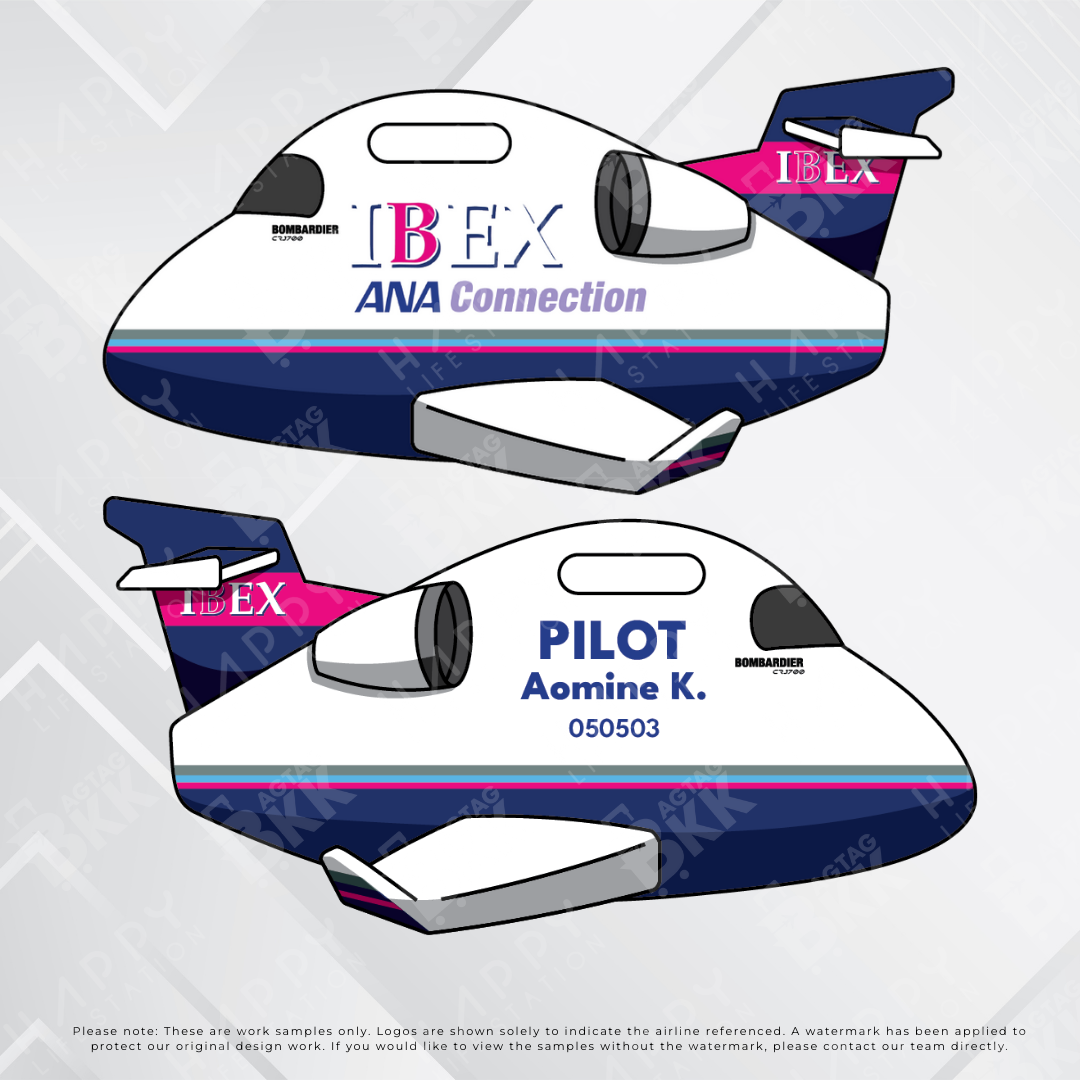 Airplane tag - Japan Airliners