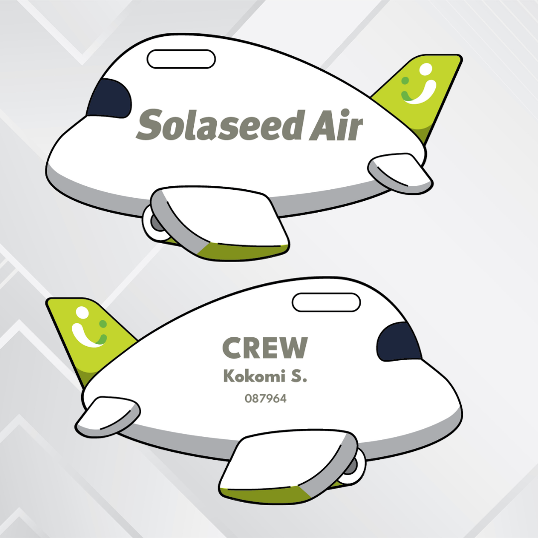 Airplane tag - Japan Airliners