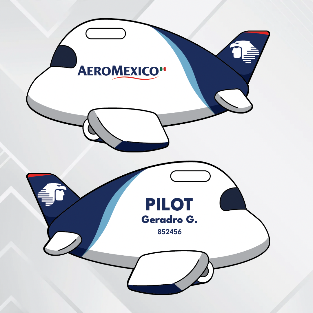 Airplane Tag - North America Airliners