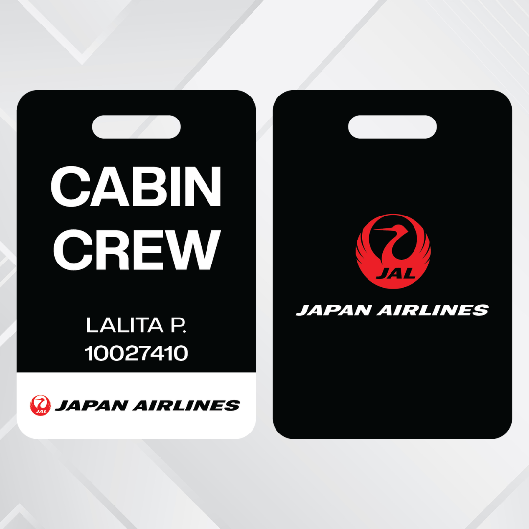 Japan Airliners