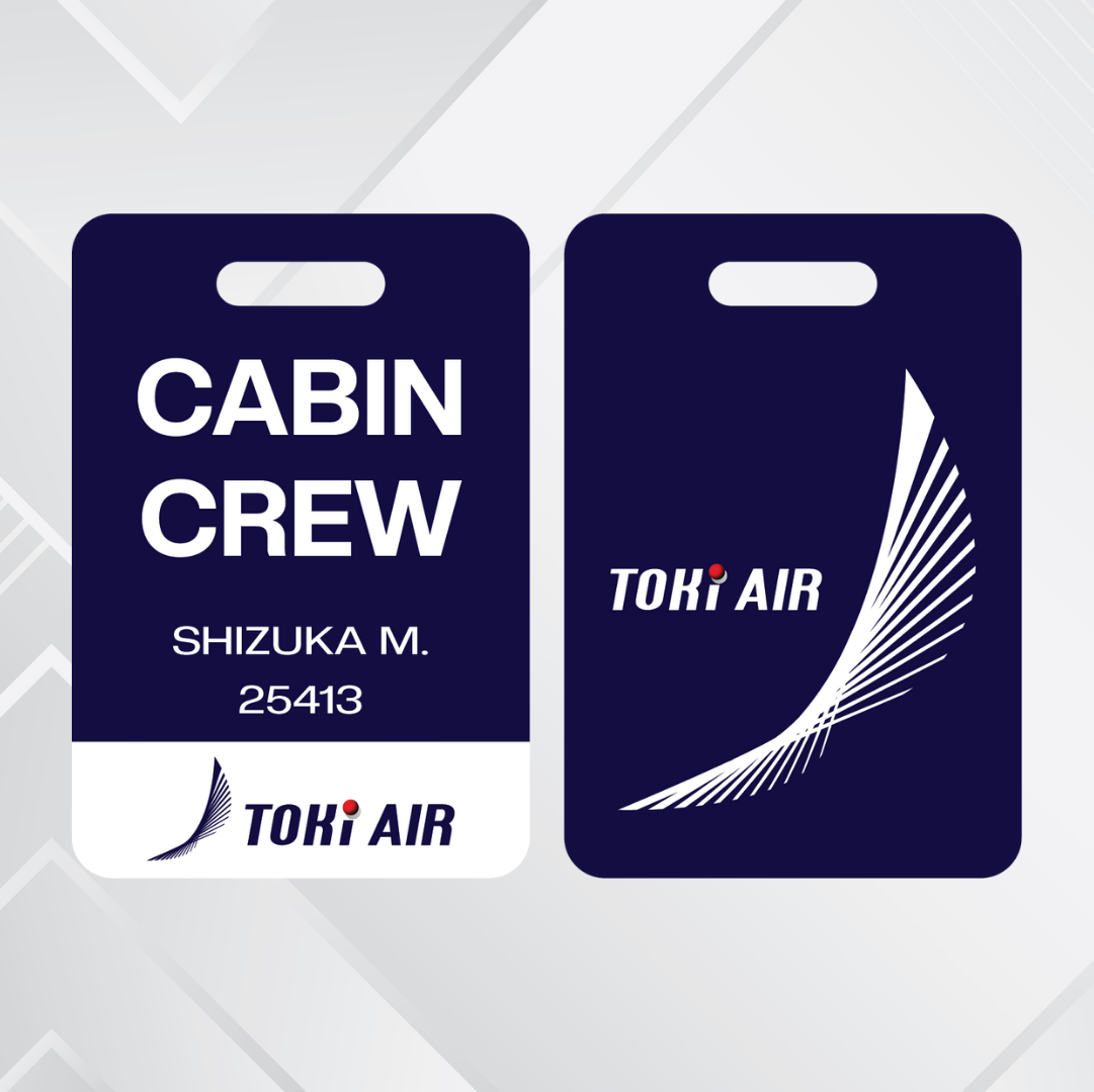 Japan Airliners
