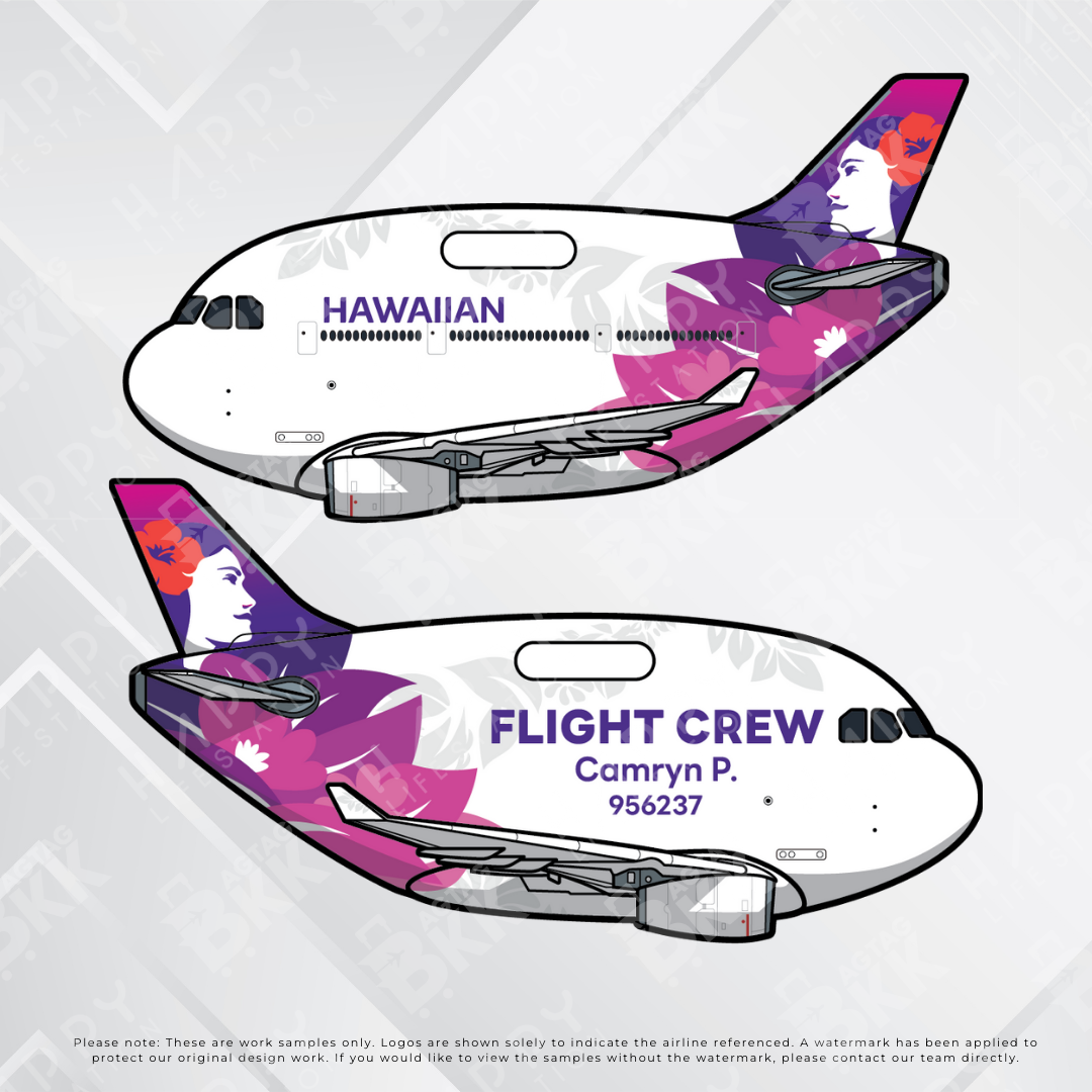Airplane tag (Airbus A330)