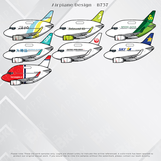 Airplane tag (Boeing 737)