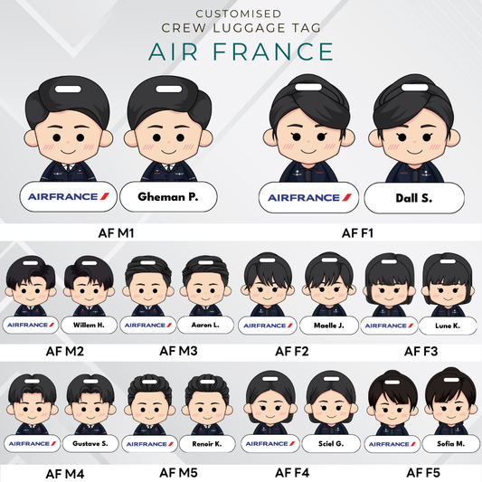 Air France Airlines