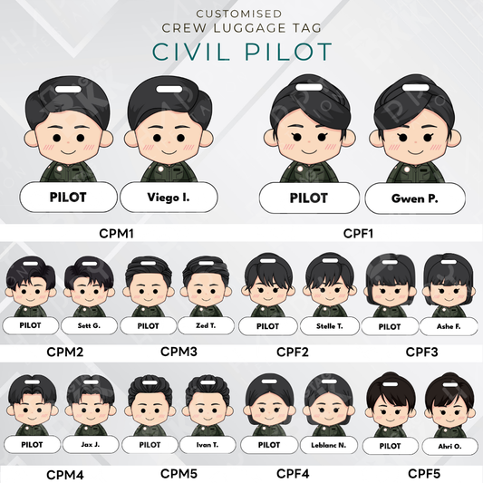 Civil Pilot