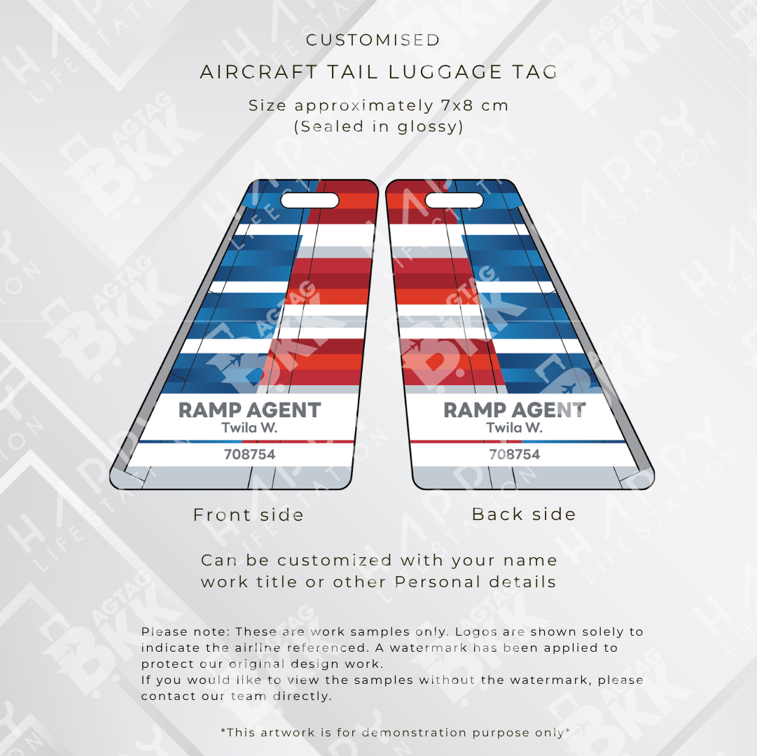 American Airlines Aircraft Tail Luggage Tag | BAGTAGBKK