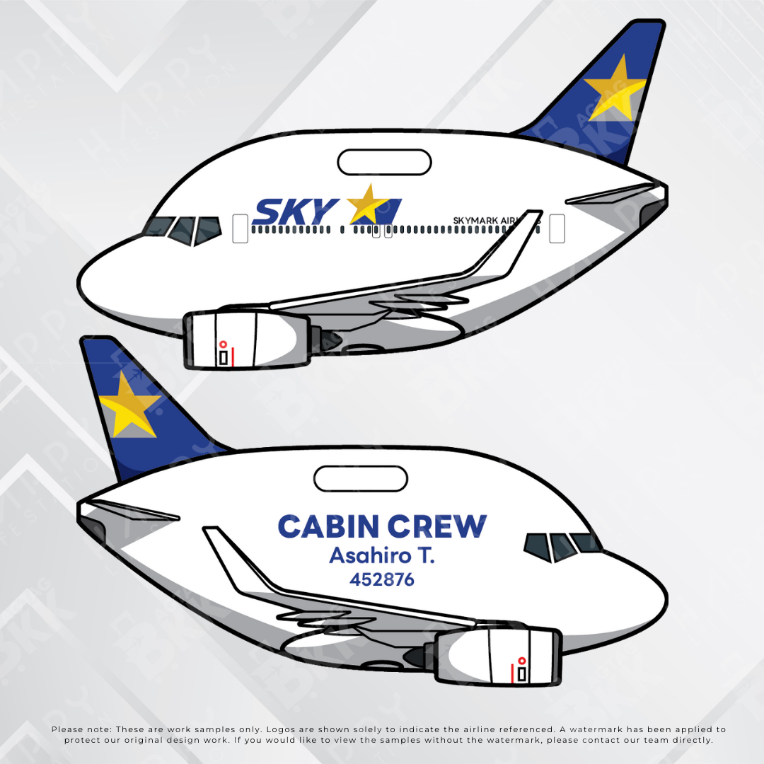 Airplane tag (Boeing 737)