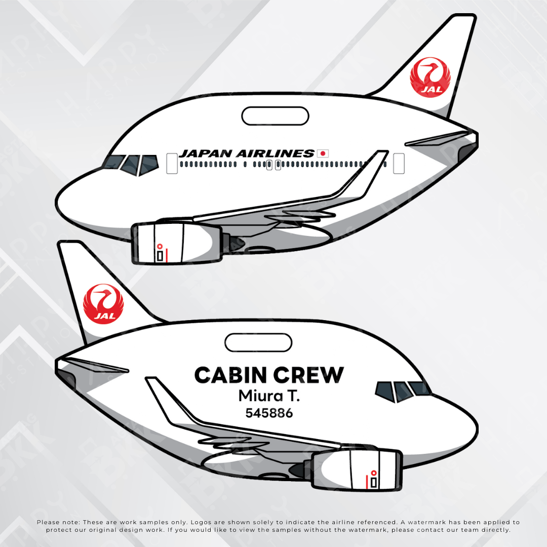 Airplane tag (Boeing 737)