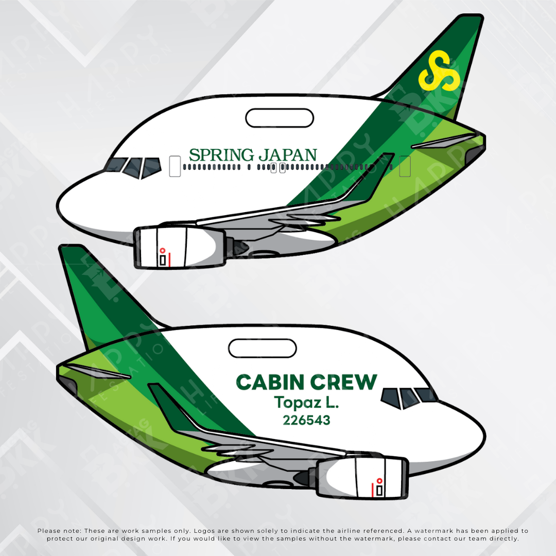 Airplane tag (Boeing 737)