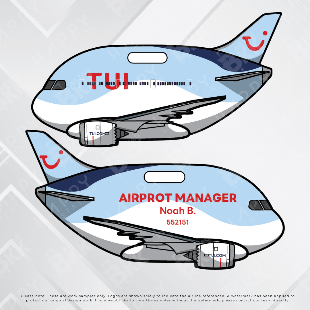 Airplane tag (Boeing 787)