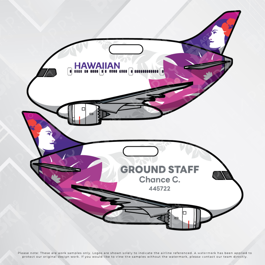 Airplane tag (Boeing 787)