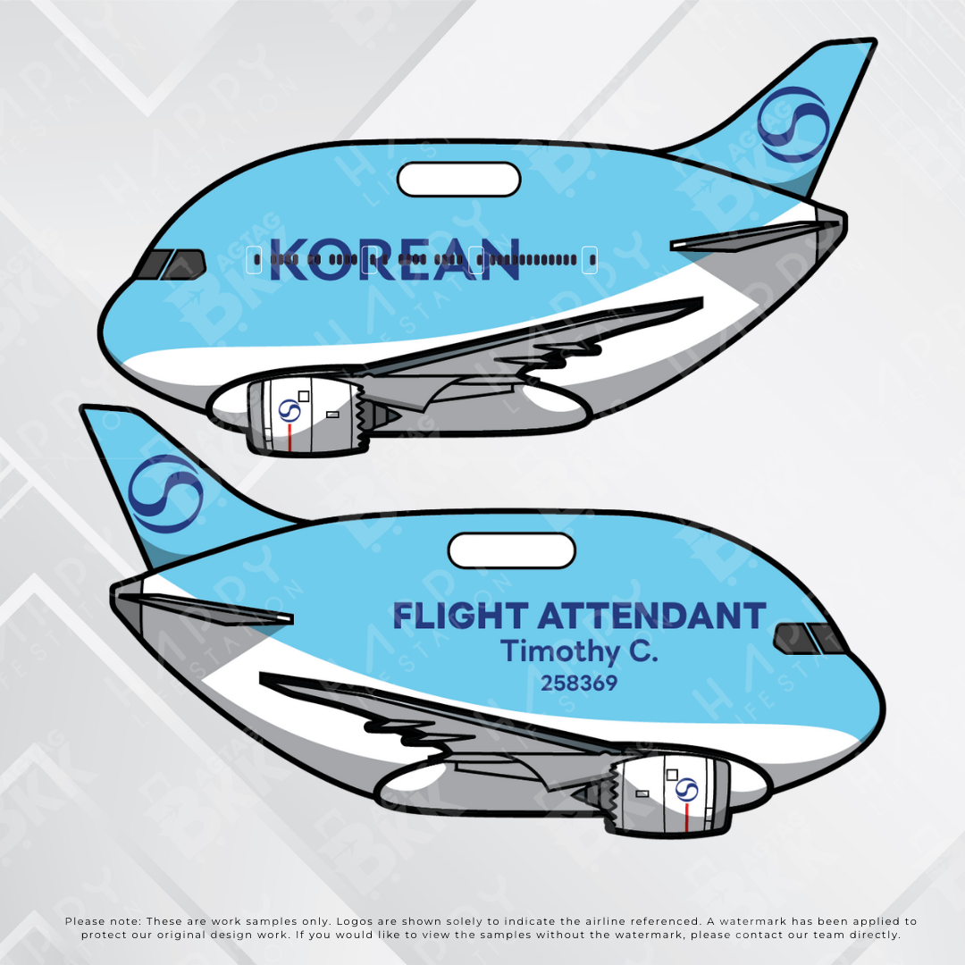 Airplane tag (Boeing 787)