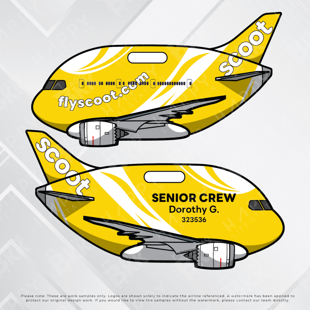 Airplane tag (Boeing 787)