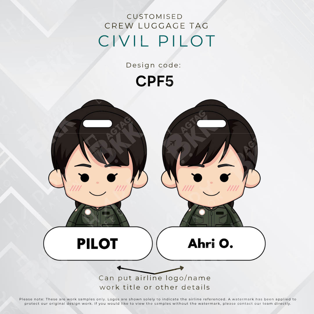 Civil Pilot
