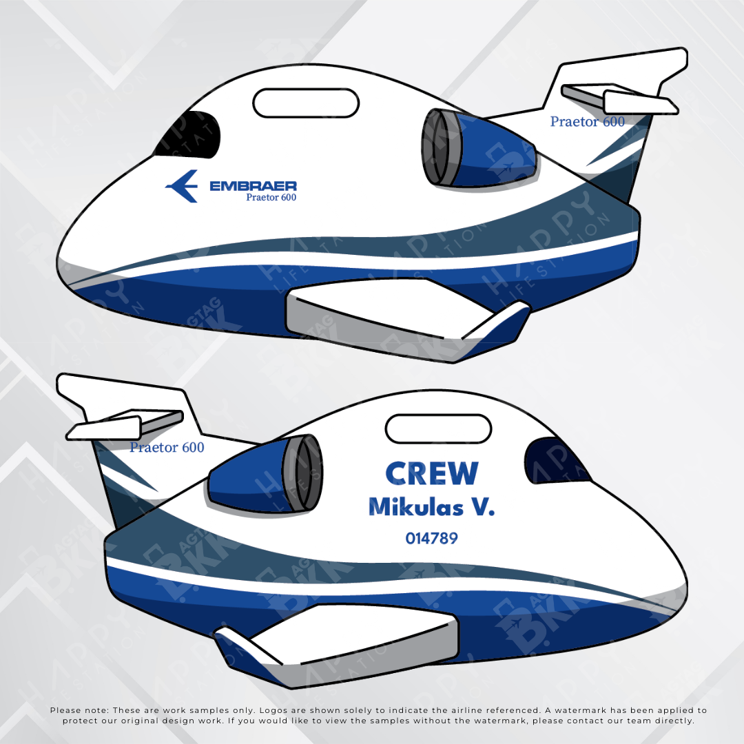 Business Jet