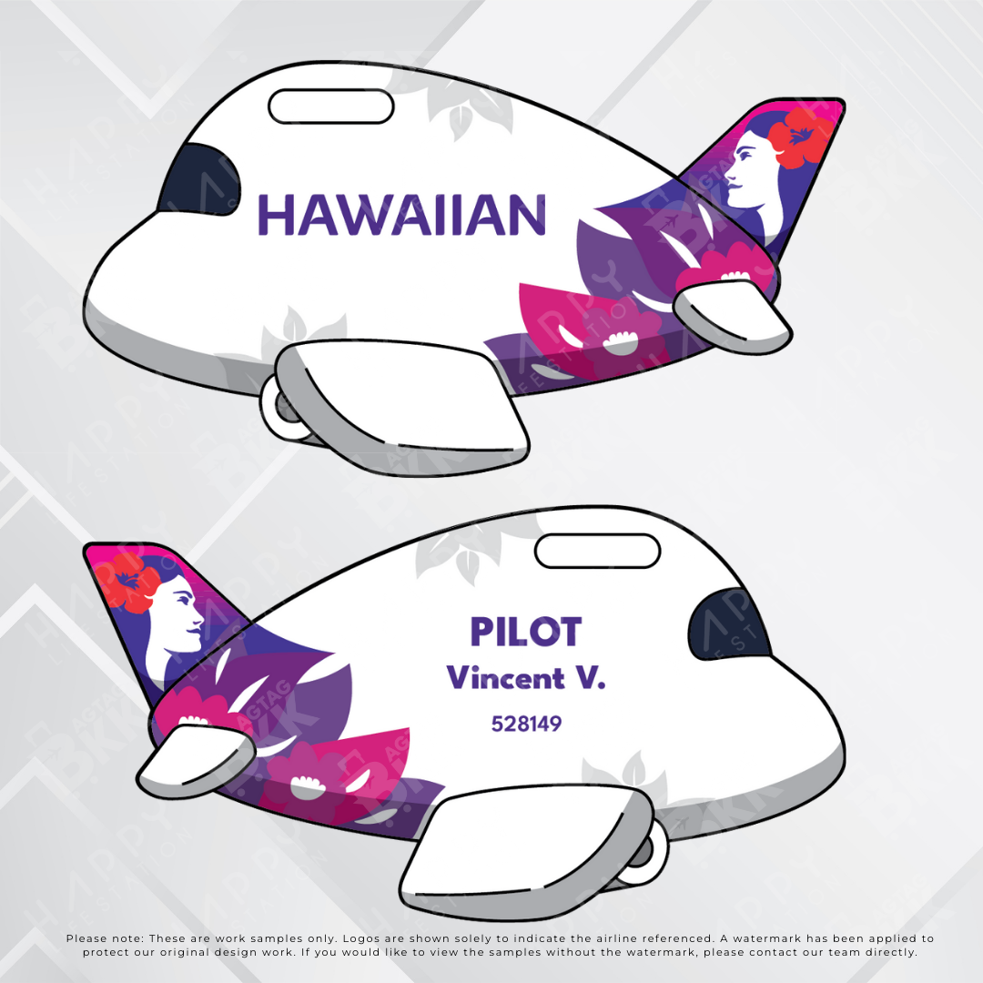 Airplane Tag - North America Airliners