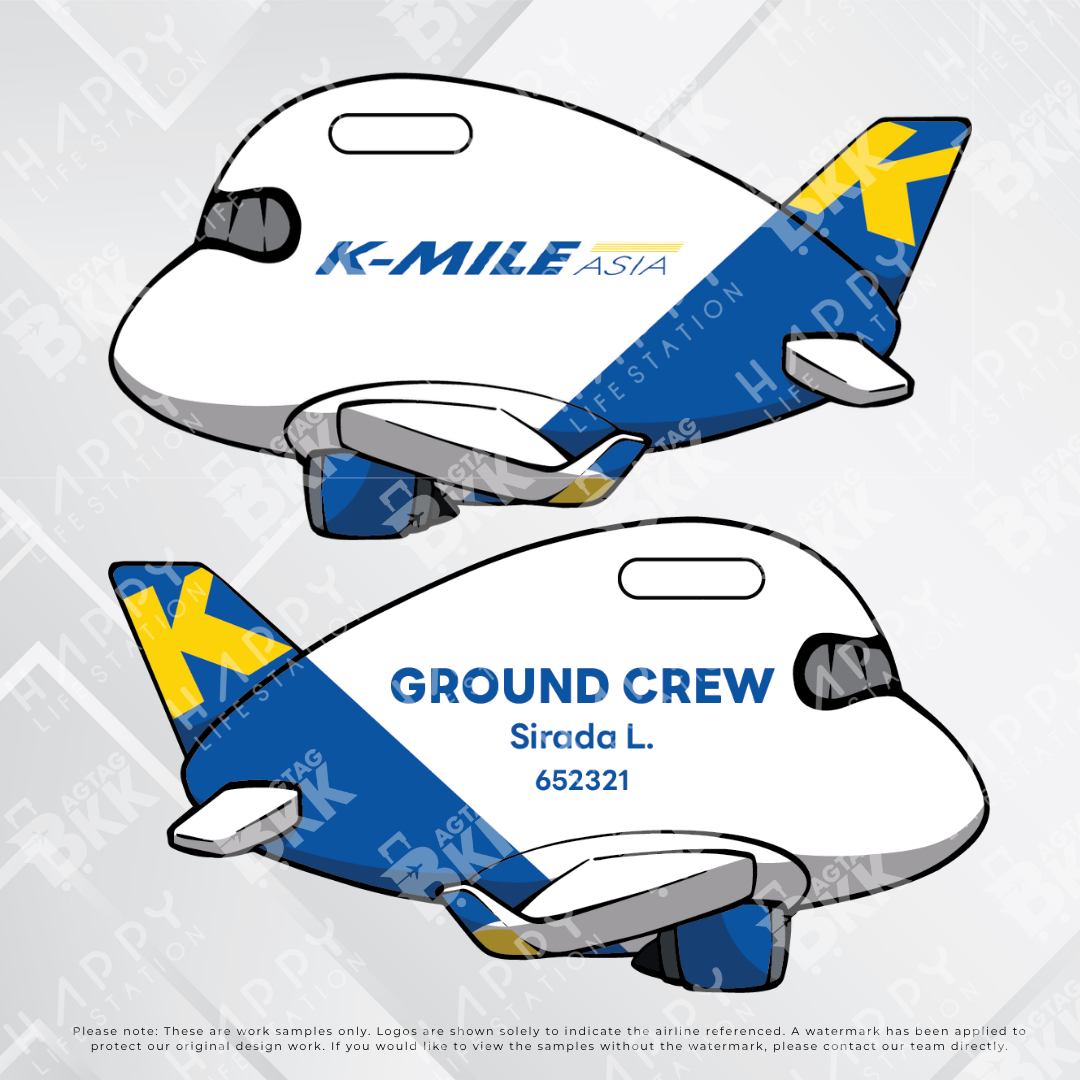 Airplane tag (AIRBUS A350) Old Version