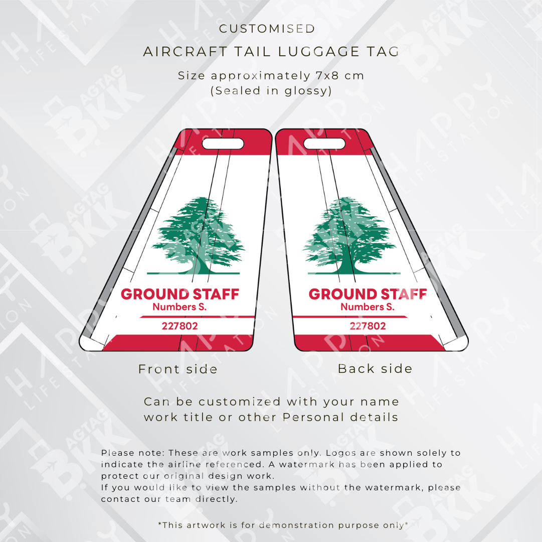 Aircraft tail - Middle east Airliners