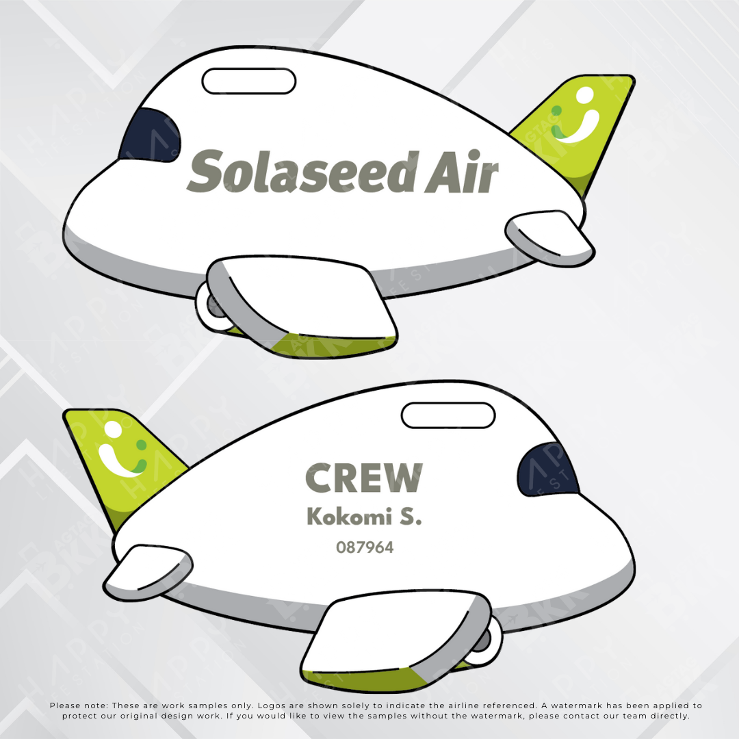 Airplane tag - Japan Airliners