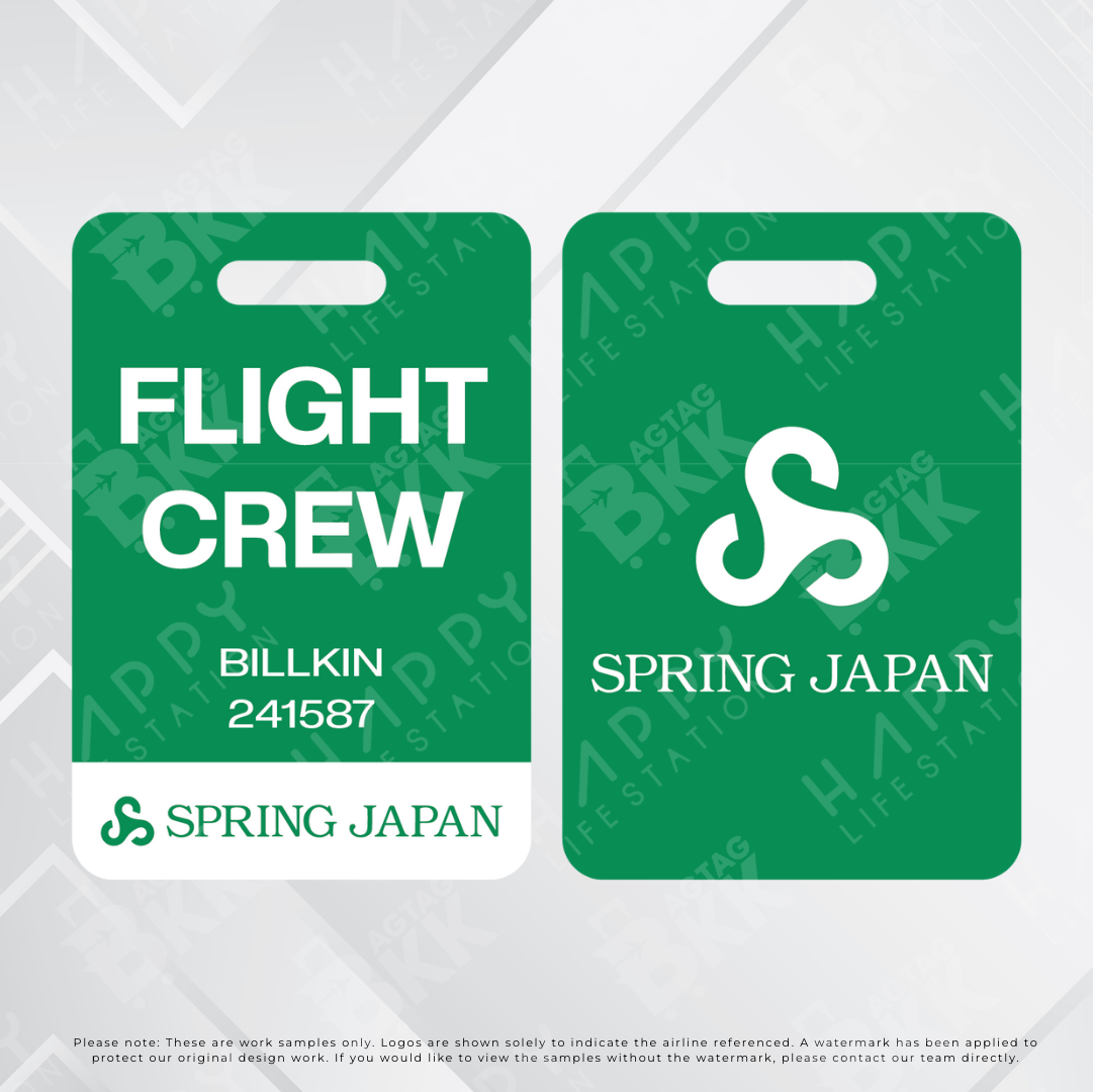 Japan Airliners